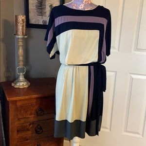 Soft and Stretchy Color Block Dress